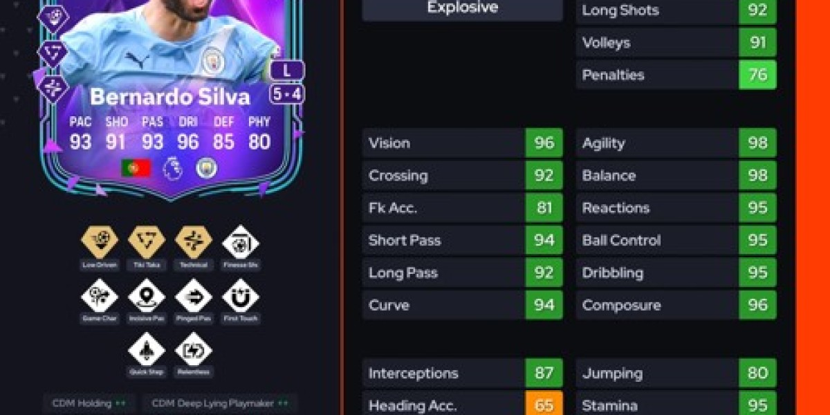 DCE Bernardo Silva Premium: soluzioni e prezzo