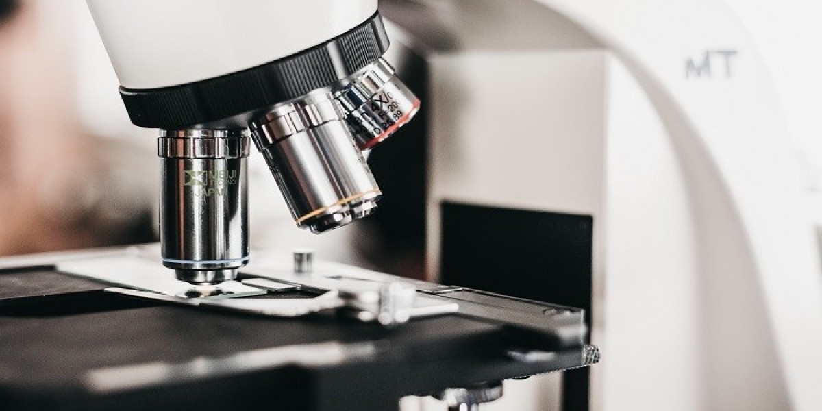 X-ray Crystallography Services: From Protein Production to Structure-Guided Drug Discovery