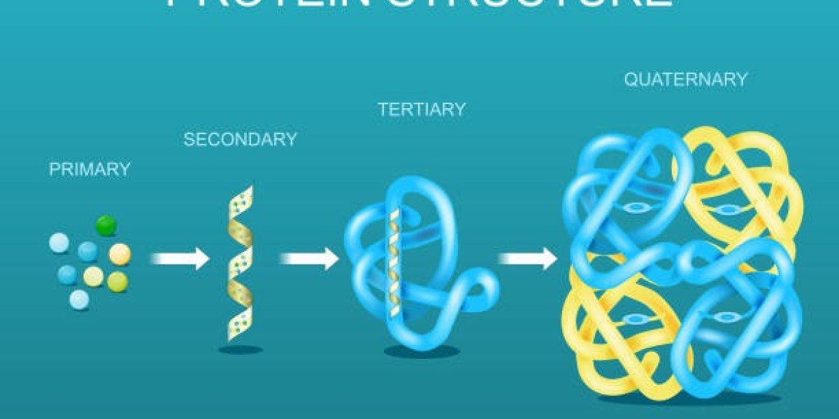 How to Approach a Protein Structure Bioinformatics Assignment (Step by Step)