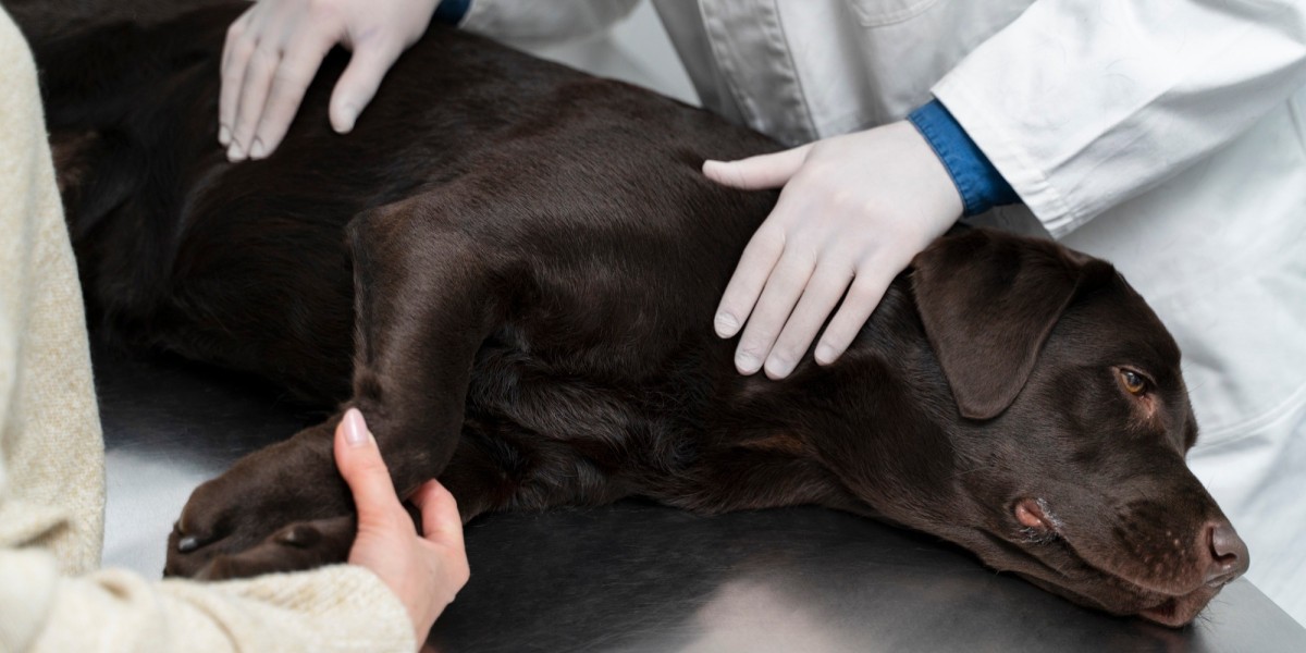 What Are the Early Signs of Heartworm Disease in Dogs?