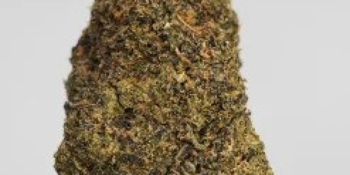 Bulk Buddy in Canada: What Buyers Should Know