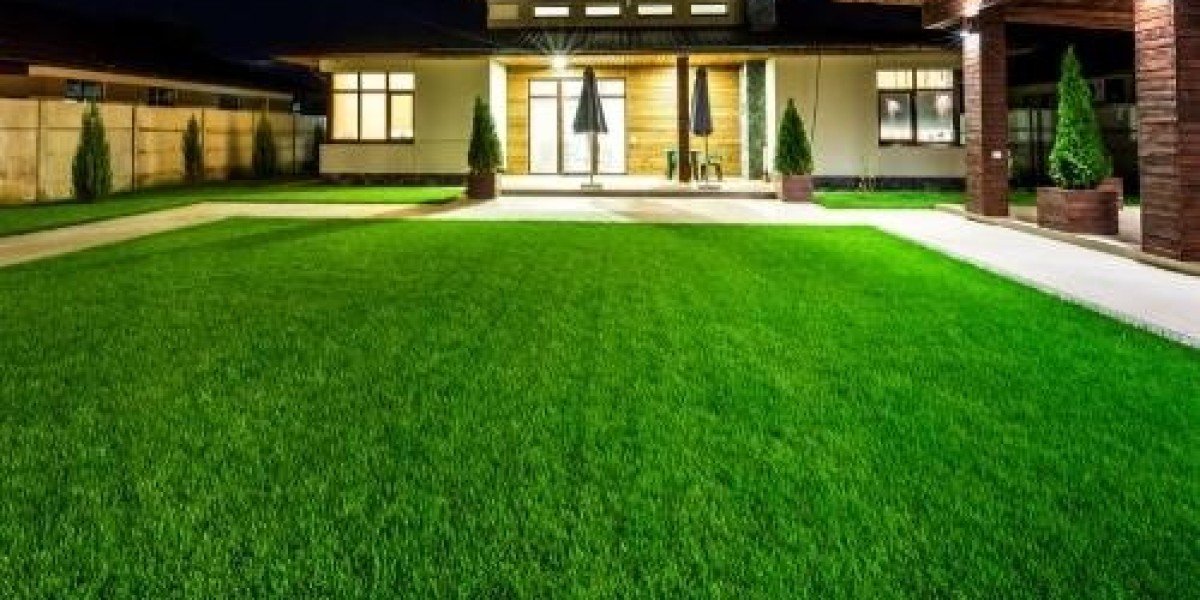 Mississauga Lawn Care Services for Year-Round Turf Planning