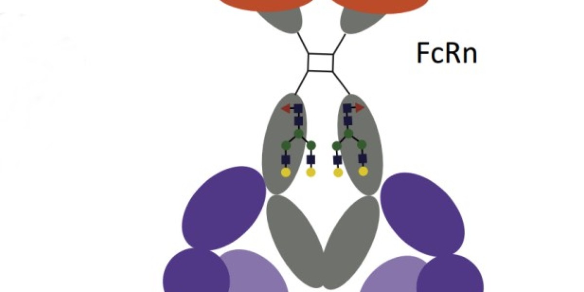Demystifying Immunosuppression: A Systematic Workflow for Analyzing Regulatory T Cells (Tregs) in the Tumor Microenviron