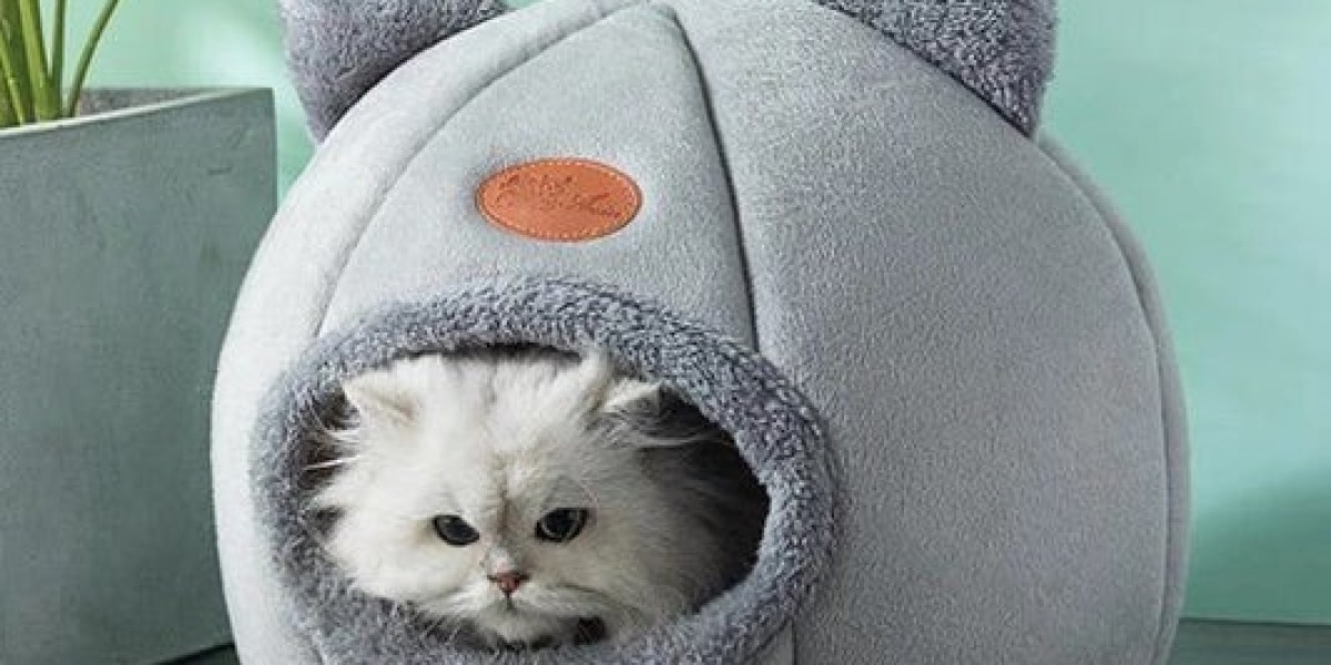 Complete Guide to Choosing the Right Cat Supplies Online