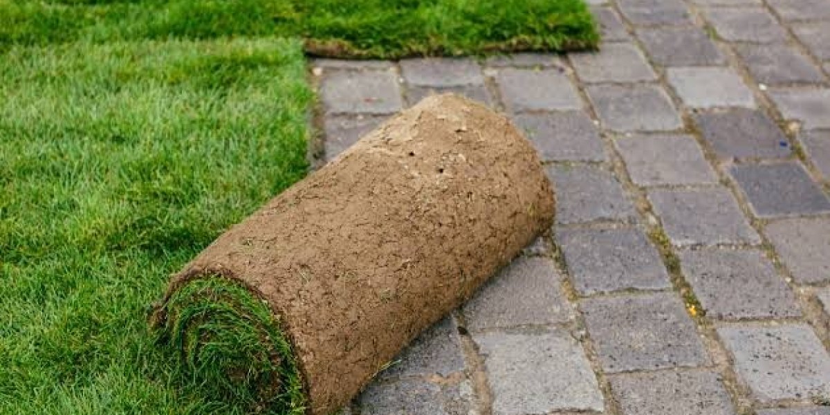 How Can Reliable Sod Installation Services Improve Your Lawrenceville, GA Lawn?