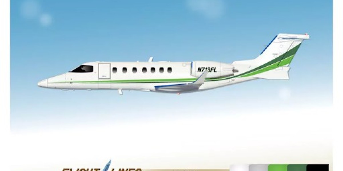 Cirrus Design and Hondajet Design: Custom Aircraft Exterior Styling