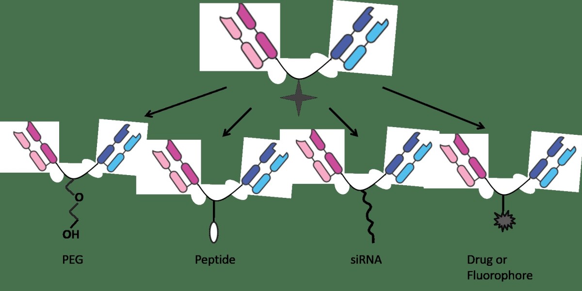Beyond Mammalian Cells: Why Plant-Derived Exosomes Are Shaping the Future of Nanomedicine