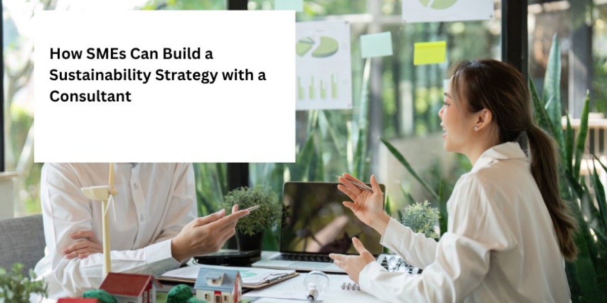 How SMEs Can Build a Sustainability Strategy with a Consultant
